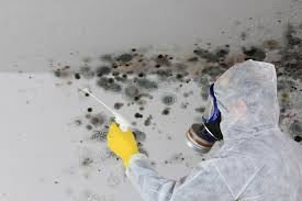 Best Air Quality Testing for Mold Spores  in Martinsville, NJ